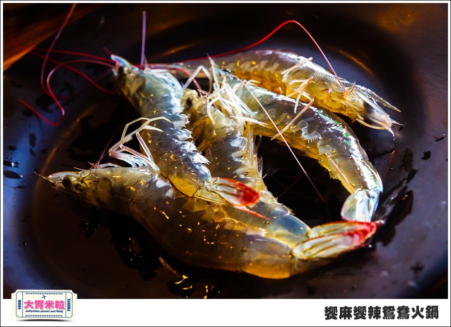 台南饗麻饗辣@麻辣鍋吃到飽@大胃米粒0069.jpg 台南饗麻饗辣@麻辣鍋吃到飽@大胃米粒0069.jpg