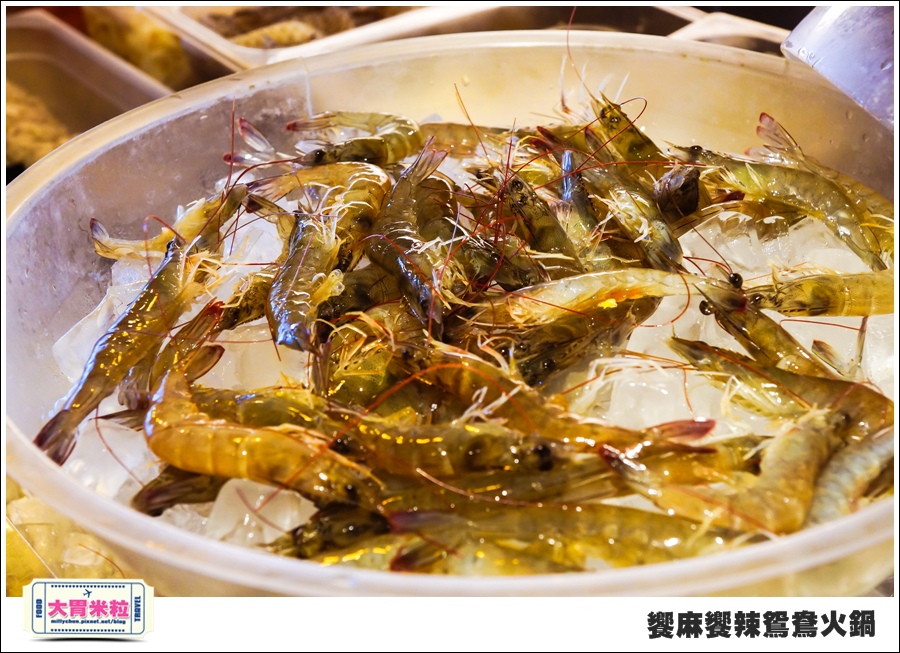 台南饗麻饗辣@麻辣鍋吃到飽@大胃米粒0032.jpg 台南饗麻饗辣@麻辣鍋吃到飽@大胃米粒0032.jpg