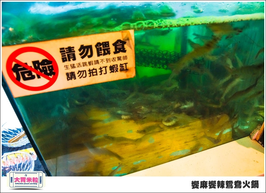 台南饗麻饗辣@麻辣鍋吃到飽@大胃米粒0043.jpg 台南饗麻饗辣@麻辣鍋吃到飽@大胃米粒0043.jpg