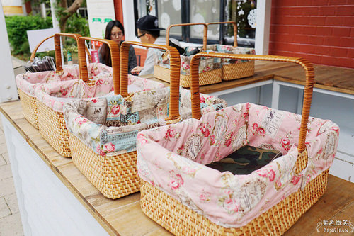 野餐,陽明山,亞尼克夢想村,亞尼克2號店