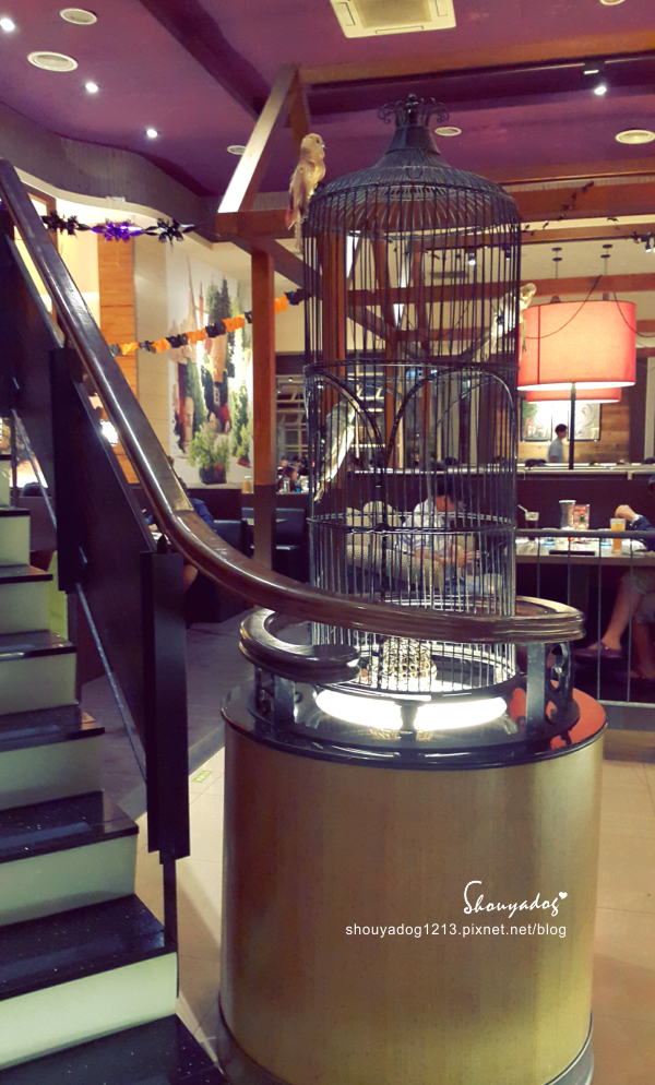 洋朵庭園餐廳:【義式料理】裝潢很有質感又平價的洋朵庭園餐廳-國際店