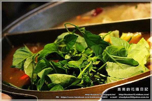 聚梧桐 臻品麻辣鍋物:【高雄】新興區。聚梧桐 臻品麻辣鍋物《可以喝的麻辣鍋》 三訪