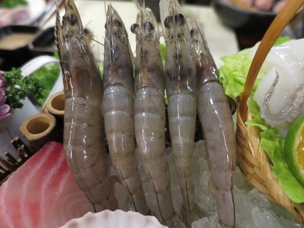 千里思念。相聚梧桐 / 聚梧桐 / 鍋物