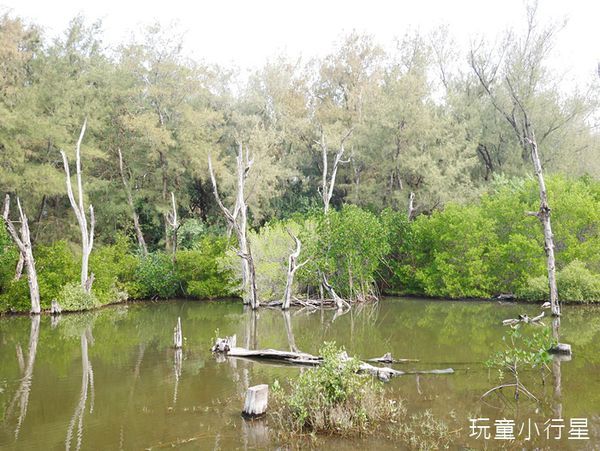 雙春濱海遊憩區22.JPG 雙春濱海遊憩區22.JPG