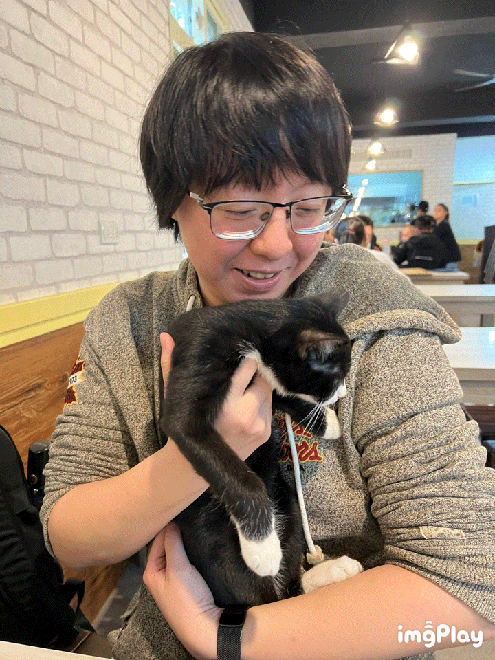 【宜蘭拉麵推薦】屋台拉麵 x 宜蘭好評拉麵店，好吃滿分無懸念