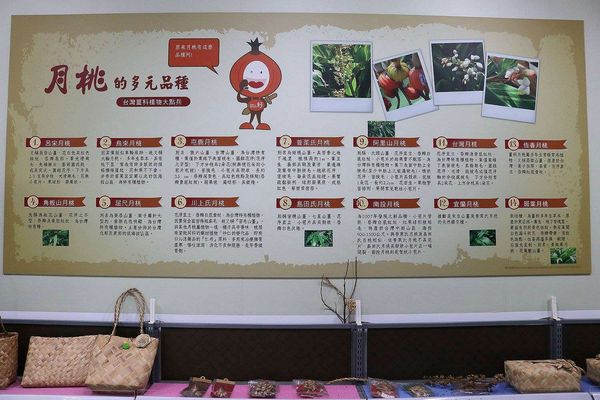 月桃故事館：【嘉義景點】月桃故事館觀光工廠~粉桃紅的愛心天空步道給你戀愛般的感覺/白色玻璃屋/戲沙池/免費參觀/清潔護膚保養品試用體驗/熱門拍照景點