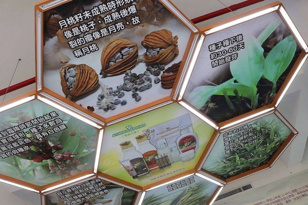 月桃故事館：【嘉義景點】月桃故事館觀光工廠~粉桃紅的愛心天空步道給你戀愛般的感覺/白色玻璃屋/戲沙池/免費參觀/清潔護膚保養品試用體驗/熱門拍照景點