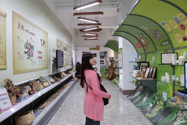 月桃故事館：【嘉義景點】月桃故事館觀光工廠~粉桃紅的愛心天空步道給你戀愛般的感覺/白色玻璃屋/戲沙池/免費參觀/清潔護膚保養品試用體驗/熱門拍照景點