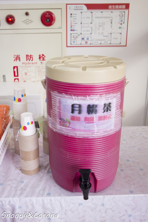 【玩樂．嘉義】嘉義景點／月桃故事館～粉紅愛心天空步道拍照好浪漫，免費參觀的觀光工廠