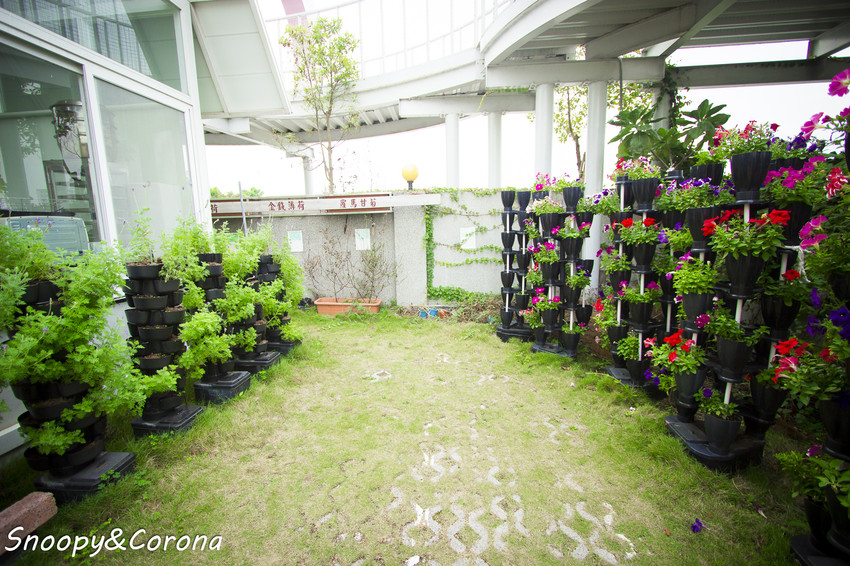 【玩樂．嘉義】嘉義景點／月桃故事館～粉紅愛心天空步道拍照好浪漫，免費參觀的觀光工廠