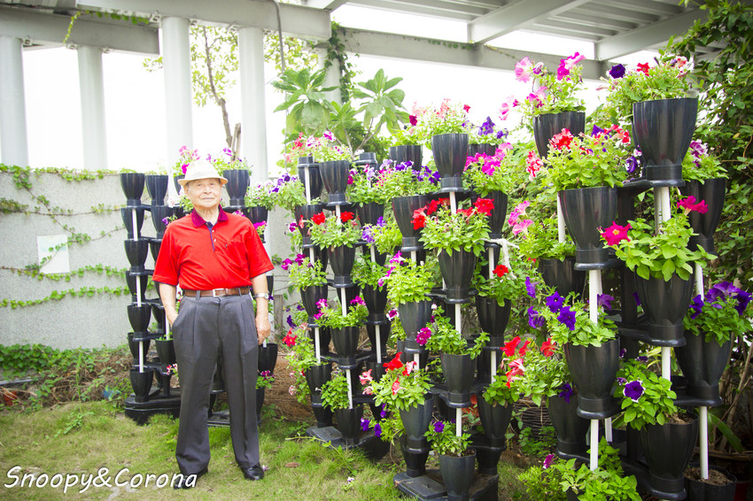 【玩樂．嘉義】嘉義景點／月桃故事館～粉紅愛心天空步道拍照好浪漫，免費參觀的觀光工廠