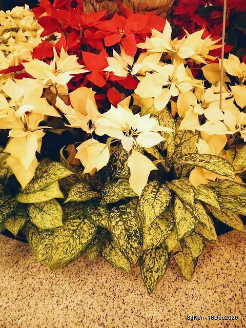 Christmas decoration of Bellavita Department store, Taipei, Taiwan, Dec 16, 2020,SJKen.