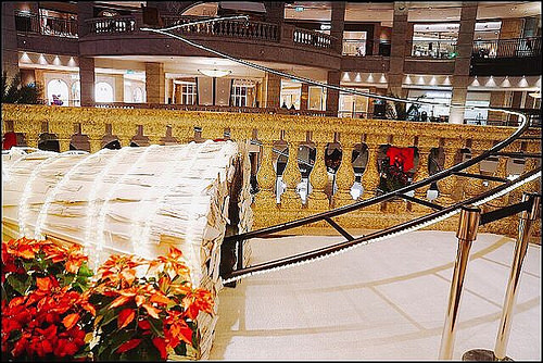 5260095646625.LINE 5260095646625.LINE