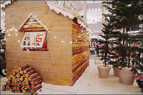 5260095351337.LINE 5260095351337.LINE