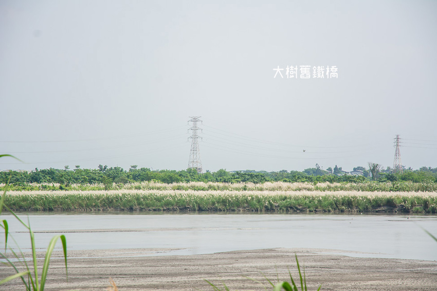 |高雄景點|大樹舊鐵橋天空步道,在濕地公園野餐、奔跑,還能漫步鋼架鐵橋步道看火車 - 阿婷的旅行札記。