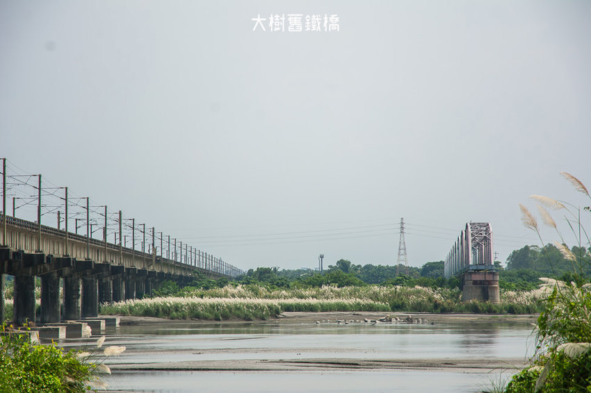 |高雄景點|大樹舊鐵橋天空步道,在濕地公園野餐、奔跑,還能漫步鋼架鐵橋步道看火車 - 阿婷的旅行札記。