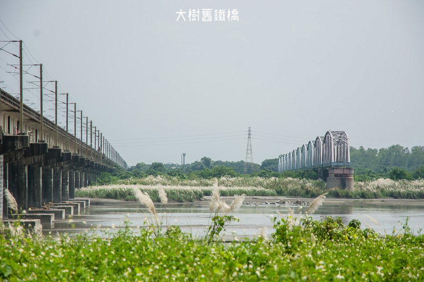 |高雄景點|大樹舊鐵橋天空步道,在濕地公園野餐、奔跑,還能漫步鋼架鐵橋步道看火車 - 阿婷的旅行札記。