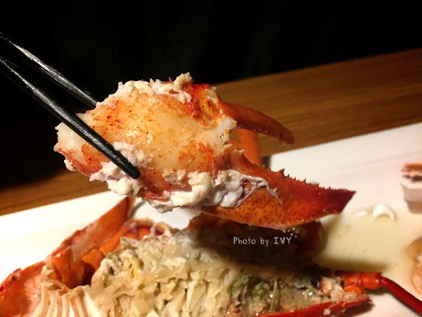 桀壽司 波士頓大龍蝦