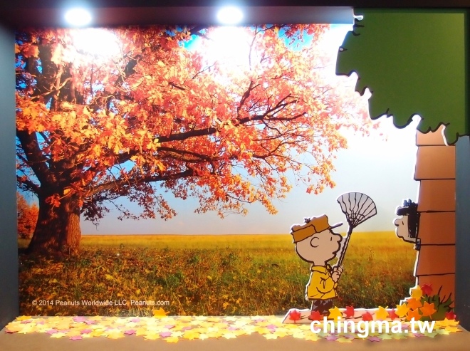 P1096041.JPG P1096041.JPG