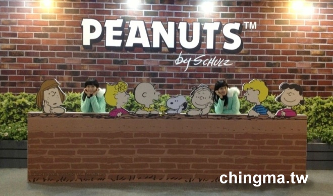 S__20267010.jpg S__20267010.jpg