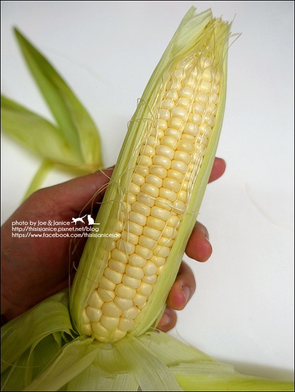 DSC09444.JPG DSC09444.JPG