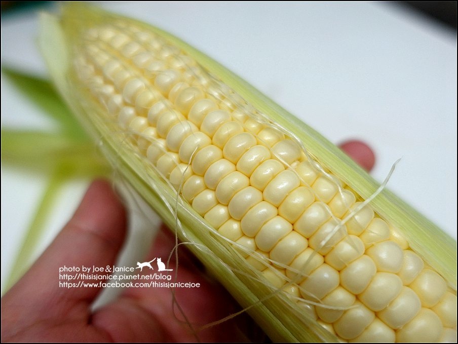 DSC09446.JPG DSC09446.JPG