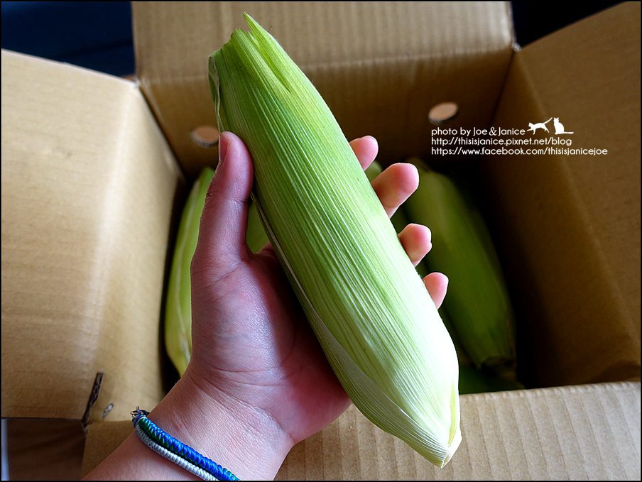 DSC09442.JPG DSC09442.JPG