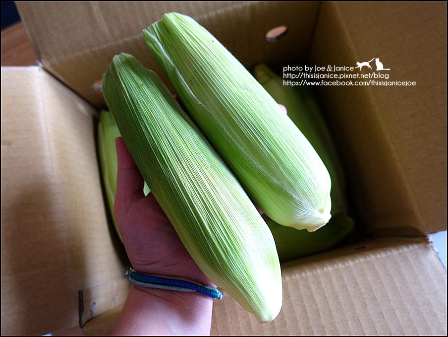 DSC09443.JPG DSC09443.JPG