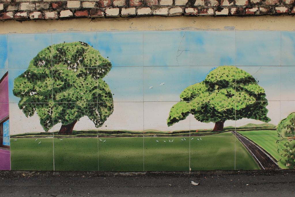 照片 067.jpg 照片 067.jpg