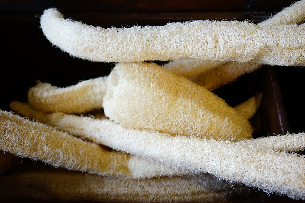 包心菜實驗廚房