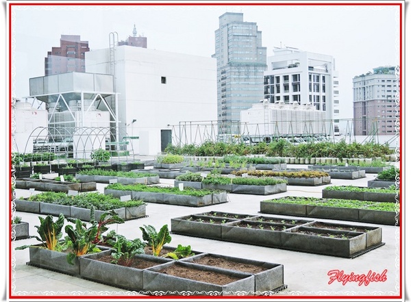 包心菜實驗廚房：✜ 白天及夜晚皆美,讓人耳目一新滴鄉村風健康餐飲空間 - 台中「包心菜實驗廚房」 ٩(๑❛ᴗ❛๑)۶