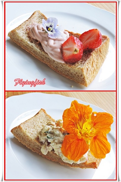 包心菜實驗廚房：✜ 白天及夜晚皆美,讓人耳目一新滴鄉村風健康餐飲空間 - 台中「包心菜實驗廚房」 ٩(๑❛ᴗ❛๑)۶