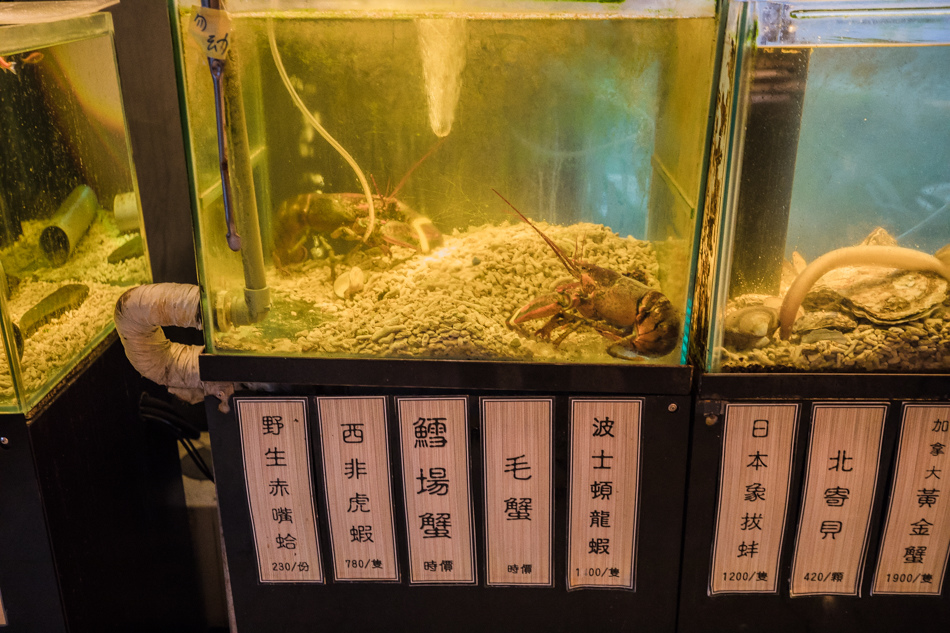 175A2466.jpg 175A2466.jpg