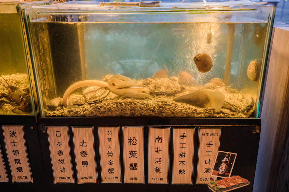 175A2465.jpg 175A2465.jpg