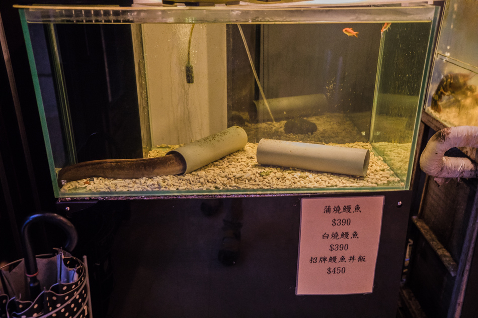 175A2467.jpg 175A2467.jpg