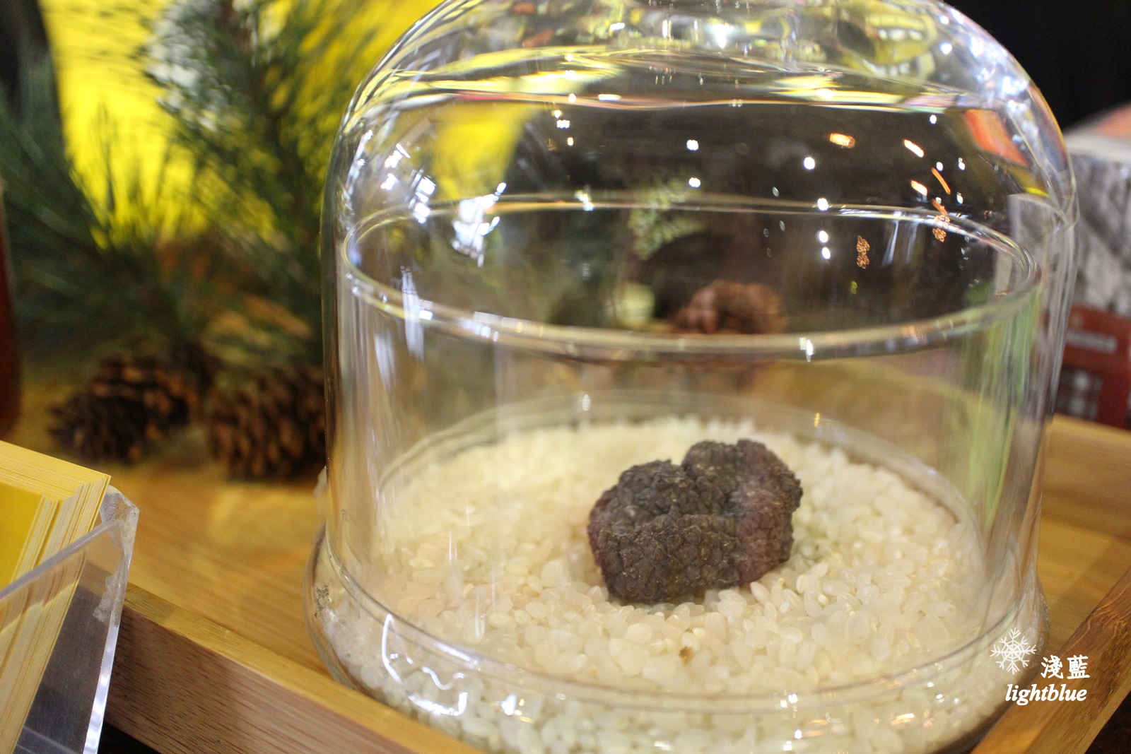 [ 龍山寺．西門站美食 ] 淺藍 ×  iHERE tea & cafe 當地小茶館～松露奶茶，奶茶界的LV