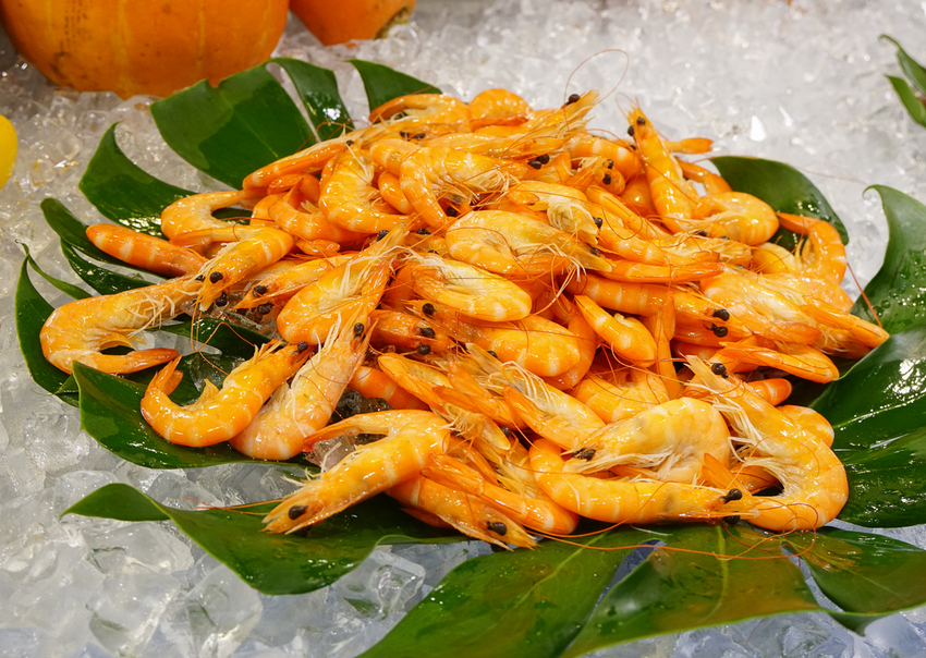 [高雄自助餐推薦]君鴻國際酒店百匯栢麗廳-高雄最美高空自助餐餐廳x豐富菜色高C/P值 - 美食好芃友