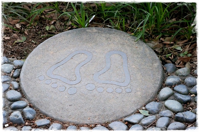 白石湖同心池 白石湖同心池