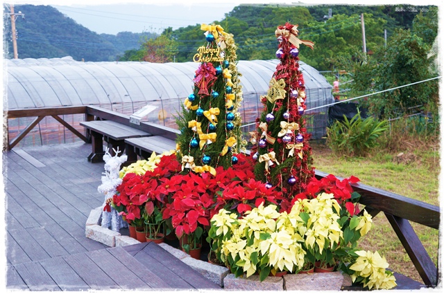 白石湖同心池 白石湖同心池