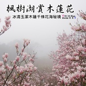 白石湖同心池：【台北◍•ᴗ•◍內湖】景點・白石湖同心池賞牡丹荷｜幸福景點新風情，夏日蓮花盛開