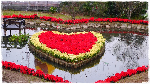 白石湖同心池 白石湖同心池