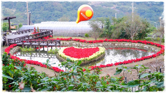 白石湖同心池 白石湖同心池