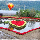 白石湖同心池：【台北◍•ᴗ•◍內湖】景點・白石湖同心池賞牡丹荷｜幸福景點新風情，夏日蓮花盛開