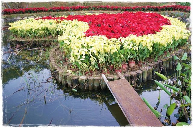 白石湖同心池 白石湖同心池