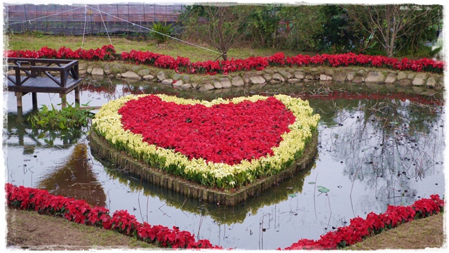 白石湖同心池 白石湖同心池