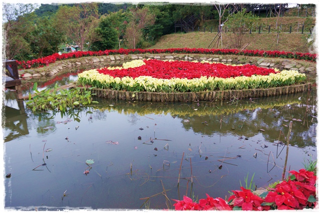 白石湖同心池 白石湖同心池