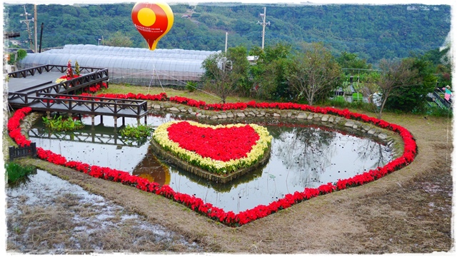 白石湖同心池 白石湖同心池