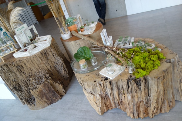 叉子ㄨ子：1031125[官本金文愛台灣]台中市西屯區叉子ㄨ子X子輕井澤新品牌挑高大空間有沙坑可玩耍現做美食拍照的好所在市議會旁