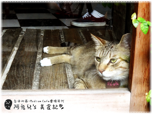 cm20160526___c39645a202e5c82891e4c284ddd cm20160526___c39645a202e5c82891e4c284ddd