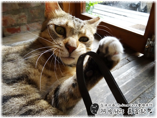 cm20160526___e126a5e78372685823a48dc15a7 cm20160526___e126a5e78372685823a48dc15a7